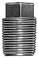 Mueller Company IPT Brass Plug 