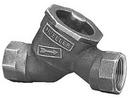 Mueller Company FIP Check Valve with Lever Lock 