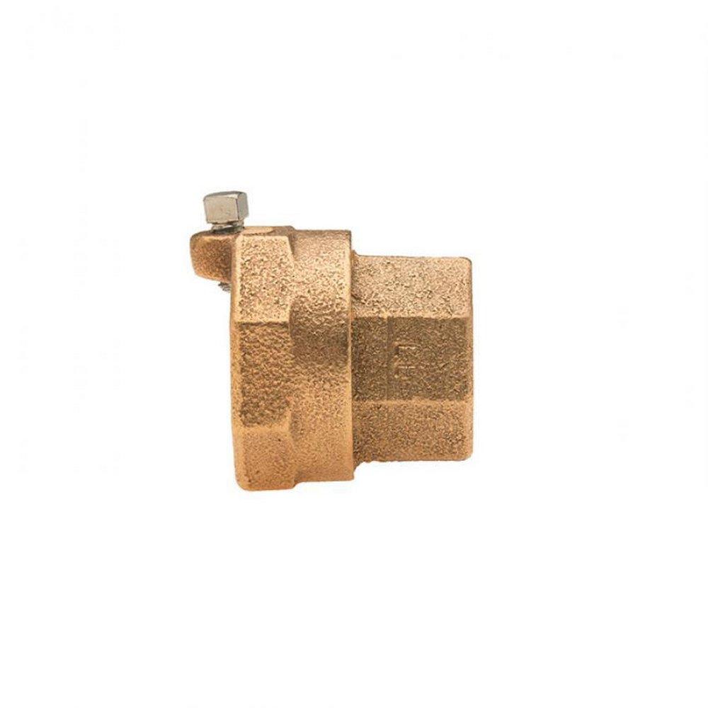 Mueller Company Compression x FIPT Brass Coupling 