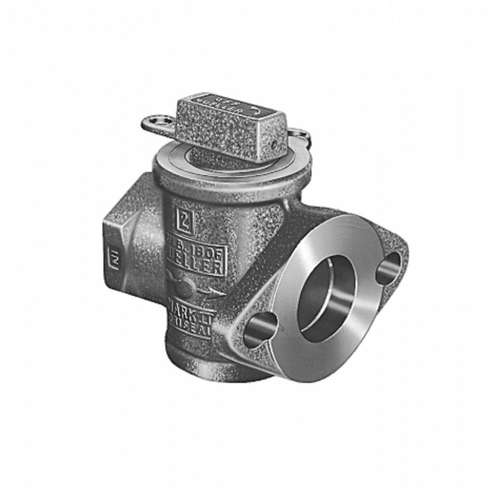 Mueller Company FIP x Meter Flanged Brass Straight Check Valve 