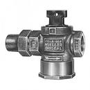 Mueller Company Flared x FIPT Curb Valve 