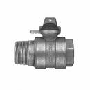 Mueller Company FIP x MIP In-Line Ball Meter Valve 