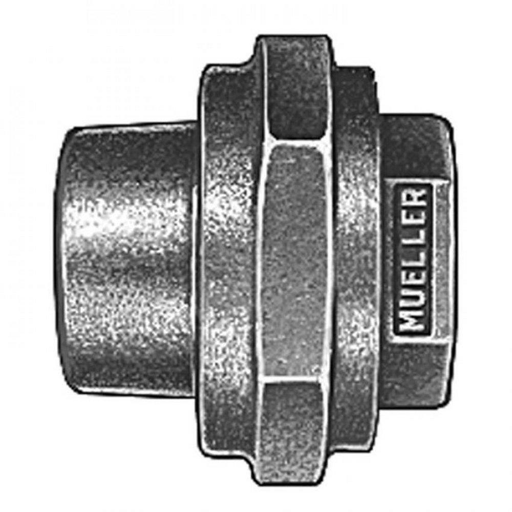 Mueller Company MIPT Brass Coupling 