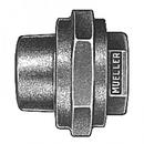 Mueller Company MIPT Brass Coupling 