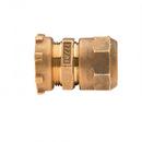 Mueller Company Lock Nut x Compression Brass Coupling 