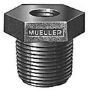 Mueller Company IPT Brass Plug 