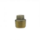 Mueller Company IPT Brass Plug 