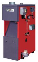 Steam Gas Boiler - 171 MBH - Cast Iron Heat Exchanger - 82.1% AFUE