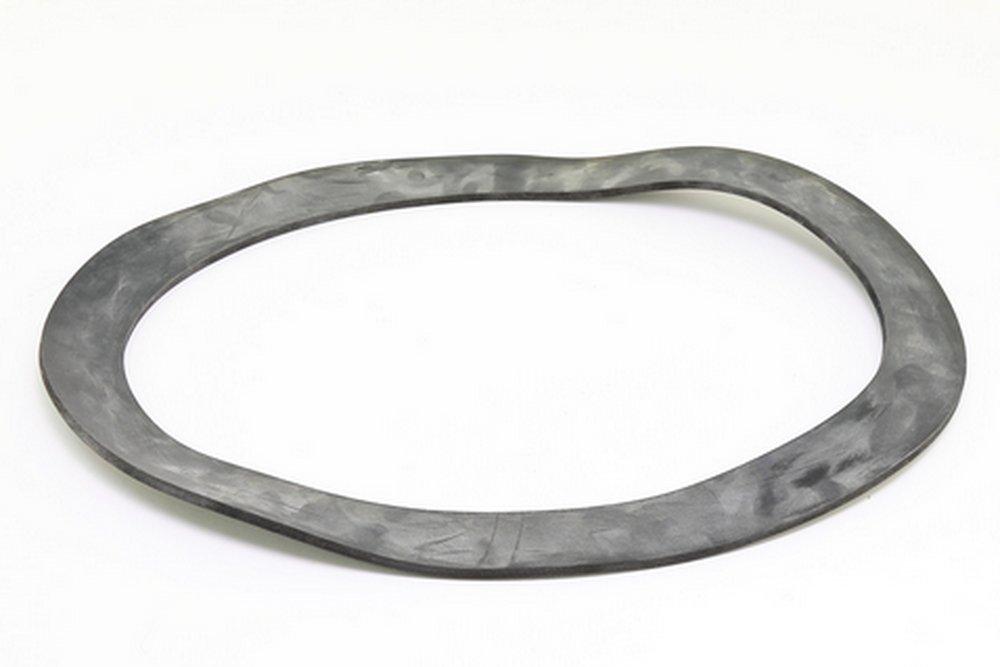 Lochinvar Manhole Gasket 