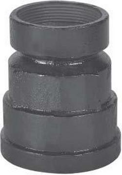 3 in. Hub x FIPT Cast Iron Coupling