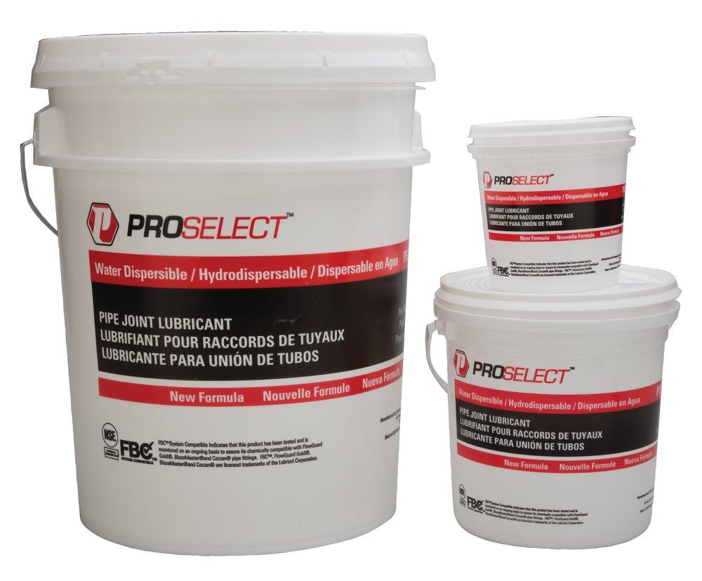 PROSELECT&reg; All Purpose Off-white Pipe Joint Compound 