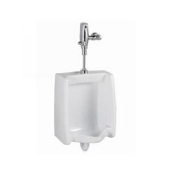 0.125 gpf Urinal Flush Valve System in White