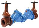 4 in. Epoxy Coated Cast Iron Flanged 175 psi Backflow Preventer