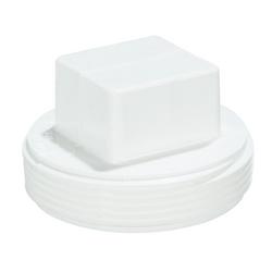 2 in. Cleanout Plug