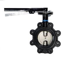 2 in. Ductile Iron EPDM Lever Handle Butterfly Valve