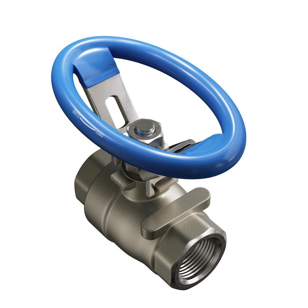 FNW&reg; 316 Stainless Steel Full Port NPT Ball Valve 