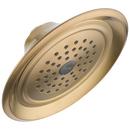 Single Function Showerhead in Brilliance® Champagne Bronze