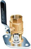 ITT-Bell & Gossett Brass NPT x Flanged Check Valve 