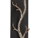 Troy-CSL Lighting Graphite 4-3/4 in. 60W 1-Light Wall Sconce 