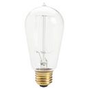 60W S21 Incandescent Light Bulb with Medium Base 