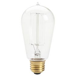 60W S21 Incandescent Light Bulb with Medium Base