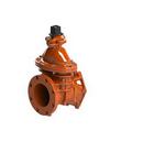 Clow Valve Flanged Ductile Iron Open Left Resilient Wedge Gate Valve 