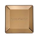 Steamist Brushed Bronze Steamhead 