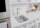 BLANCO Polished Chrome Single Handle Pull Out Kitchen Faucet 