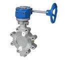 ABZ Manufacturing Stainless Steel Gear Operator Butterfly Valve 