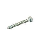 FPPI® 1/2 in. Hex Head Lag Screw 