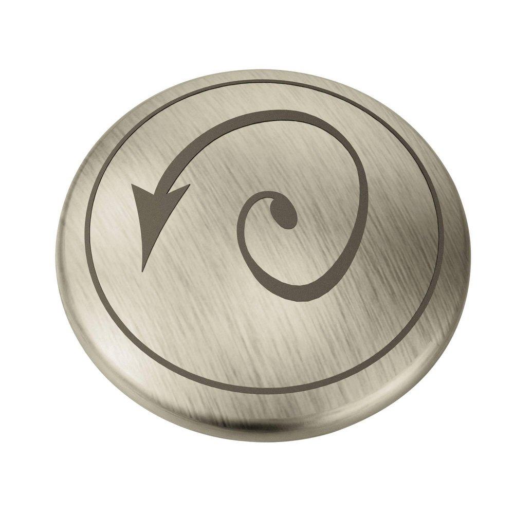 Moen Brushed Nickel Cap 