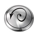 Moen Polished Chrome Cap 