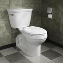 PROFLO&reg; White 17 in. Elongated Rear Outlet Toilet Bowl 