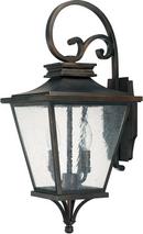 22 in. 60W 2-Light Outdoor Wall Lantern in Old Bronze