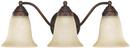 8 in. 100W 3-Light Vanity Fixture in Burnished Bronze with Mist Scavo Glass Shade