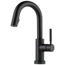 Single Handle Pull Down Bar Faucet in Matte Black