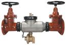 10 in. Stainless Steel Flanged 350 psi Backflow Preventer