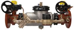 4 in. Stainless Steel Flanged 350 psi Backflow Preventer