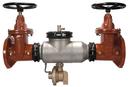 8 in. Epoxy Coated Stainless Steel Flanged 175 psi Backflow Preventer