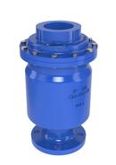 Griswold Industries NPT Ductile Iron 500 psi Air Release & Vacuum Valve 