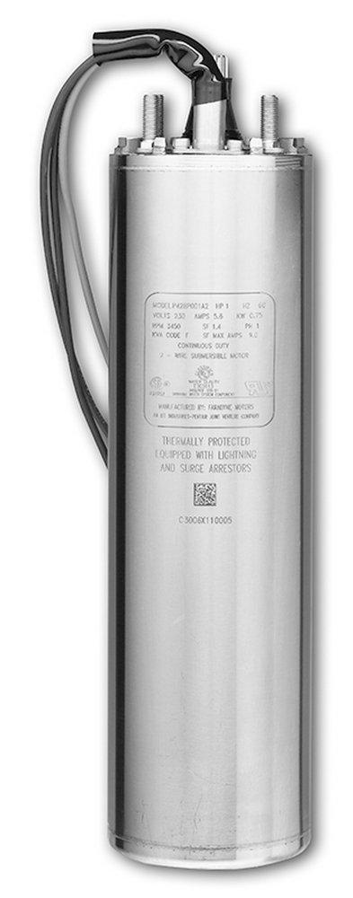 Sta-Rite Industries Silver 230V 4 in. Motor 