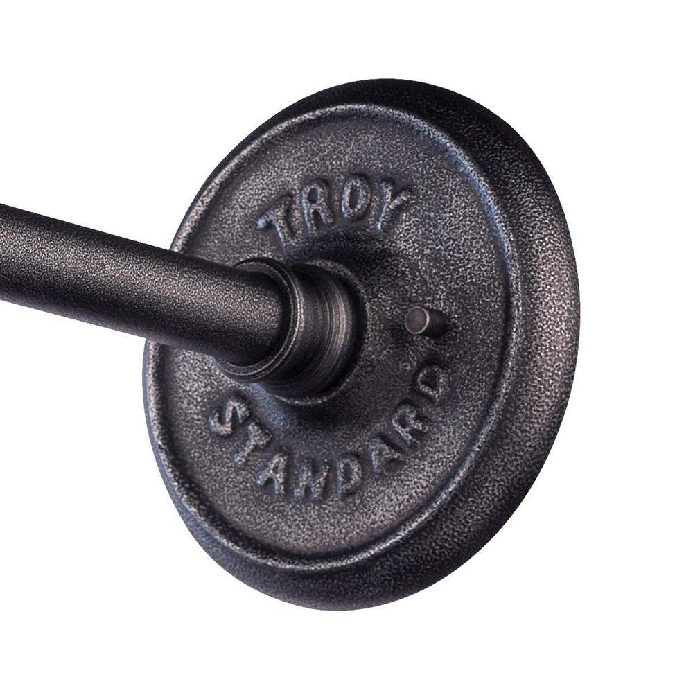 Troy-CSL Lighting Old Silver 100 W 16-3/4 in. 1-Light Medium Wall Sconce 