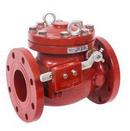 Check Valve with Outside Lever & Weight 12 in.