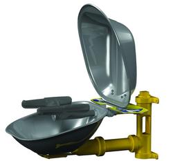 21 in. Eye Wash and Face Wash Station with Stainless Steel Bowl and Cover