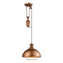 70 in. 1-Light Incandescent Pendant in Bellwether Copper
