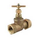 Ford Meter Box FIP x Meter Straight Compression Valve 