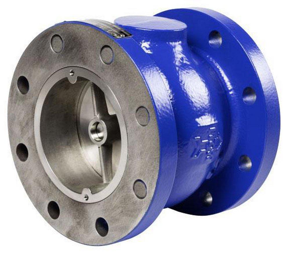 4 125# Flanged SLNT GLB Check Valve 