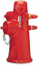 400 psig 2065 Wet Barrel Hydrant