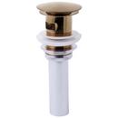 2-3/4 x 3-39/64 in. Bathroom Sink Drain with Overflow in Brilliance Brushed Bronze