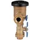 Zurn Wilkins Cast Bronze FNPT Union Polypropylene, Cast Bronze and 300L Stainless Steel 150 psi BFP Vacuum Breaker 